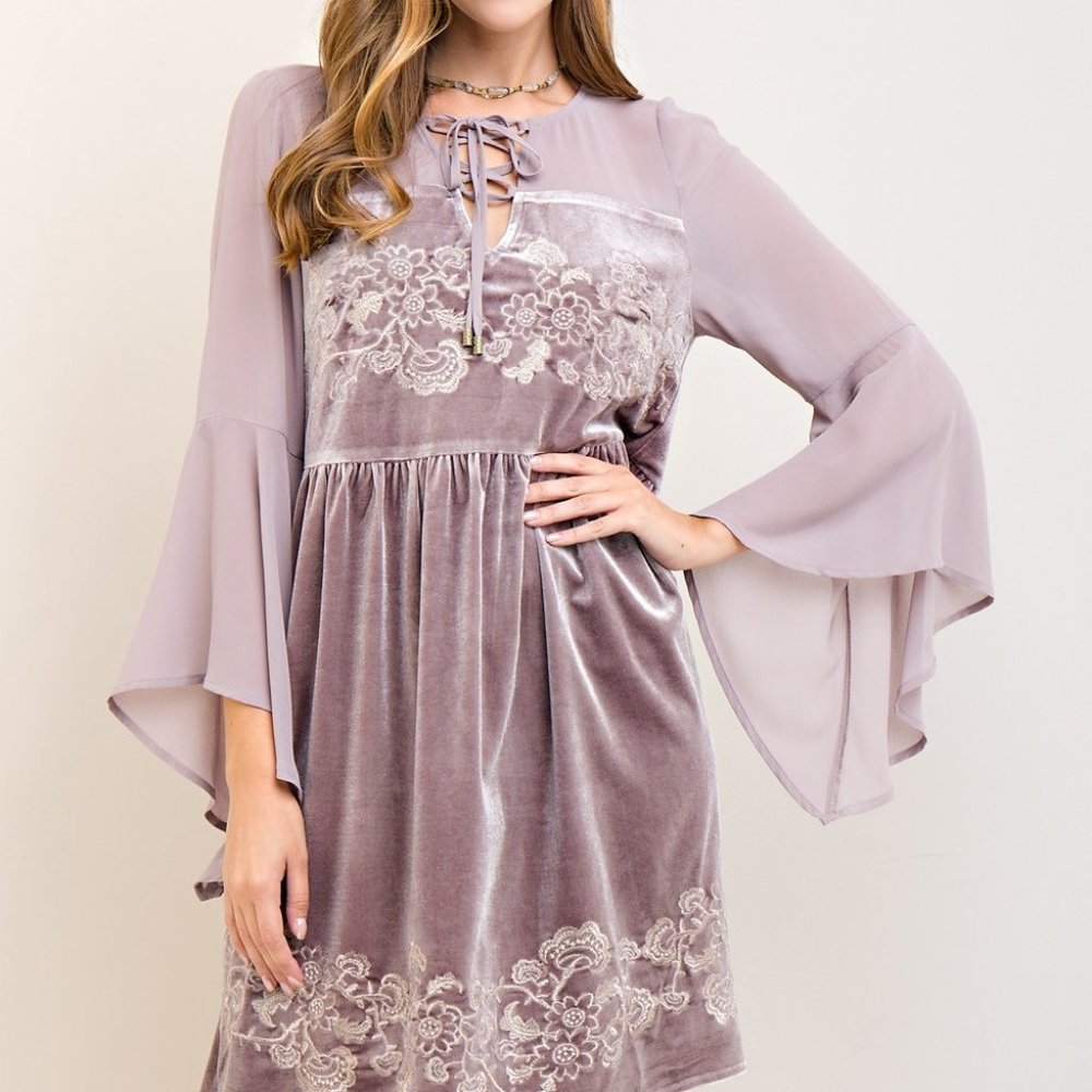 Velvet Embroidered Babydoll Dress